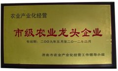 市級龍頭企業